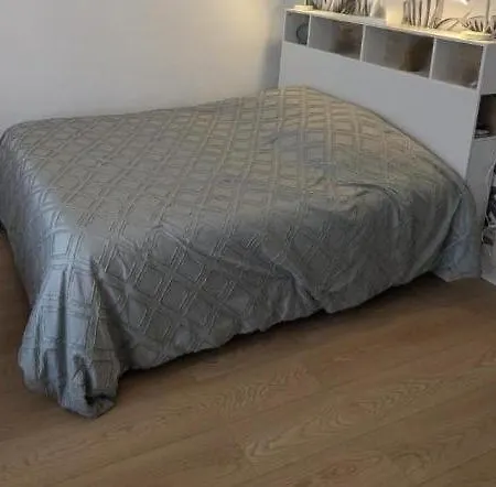 Les Moreses * Amélie-les-Bains-Palalda