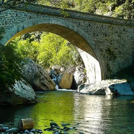 Les Moreses * Amélie-les-Bains-Palalda